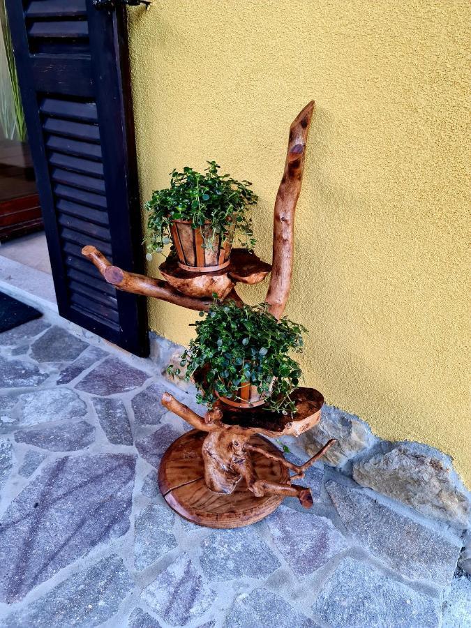 Casa Villanova Homes Nova Vas nad Dragonjo Екстериор снимка